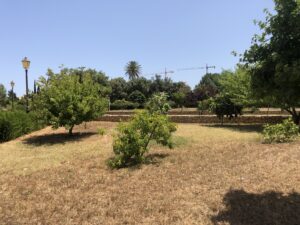 Centre d'interprétation du parc naturel de Montgó de Dénia