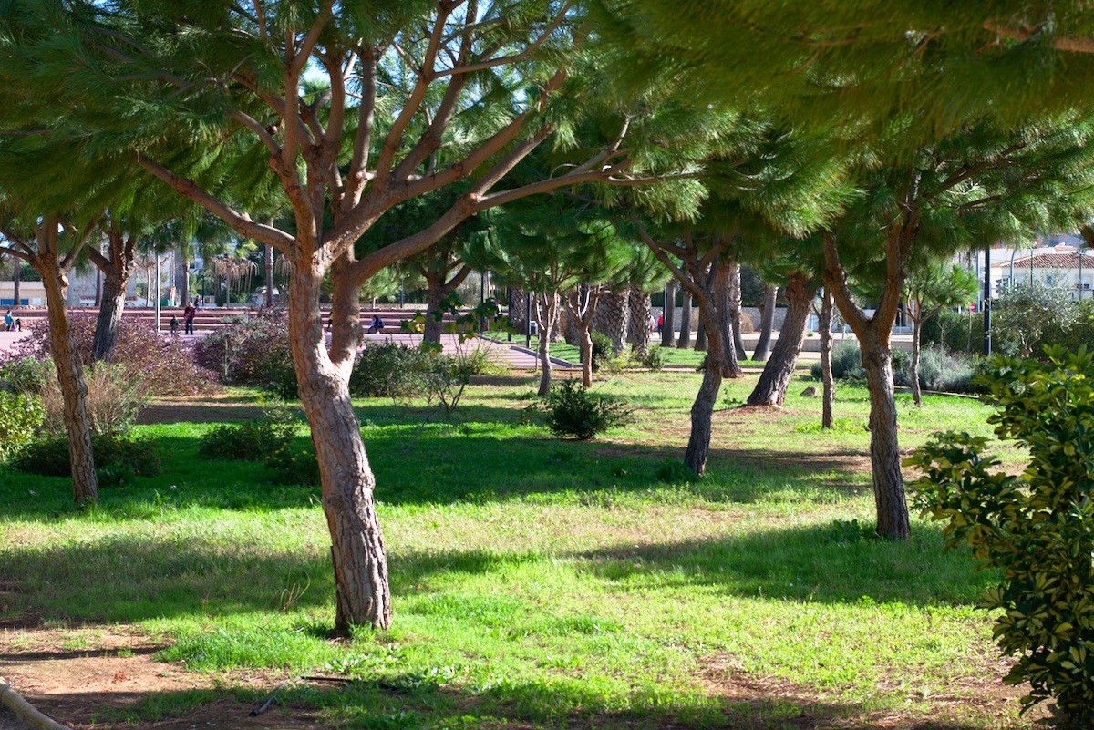 jardines paruque bassetes denia