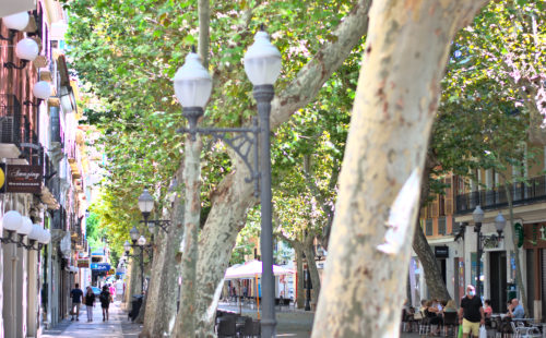 Calle marques de campo denia