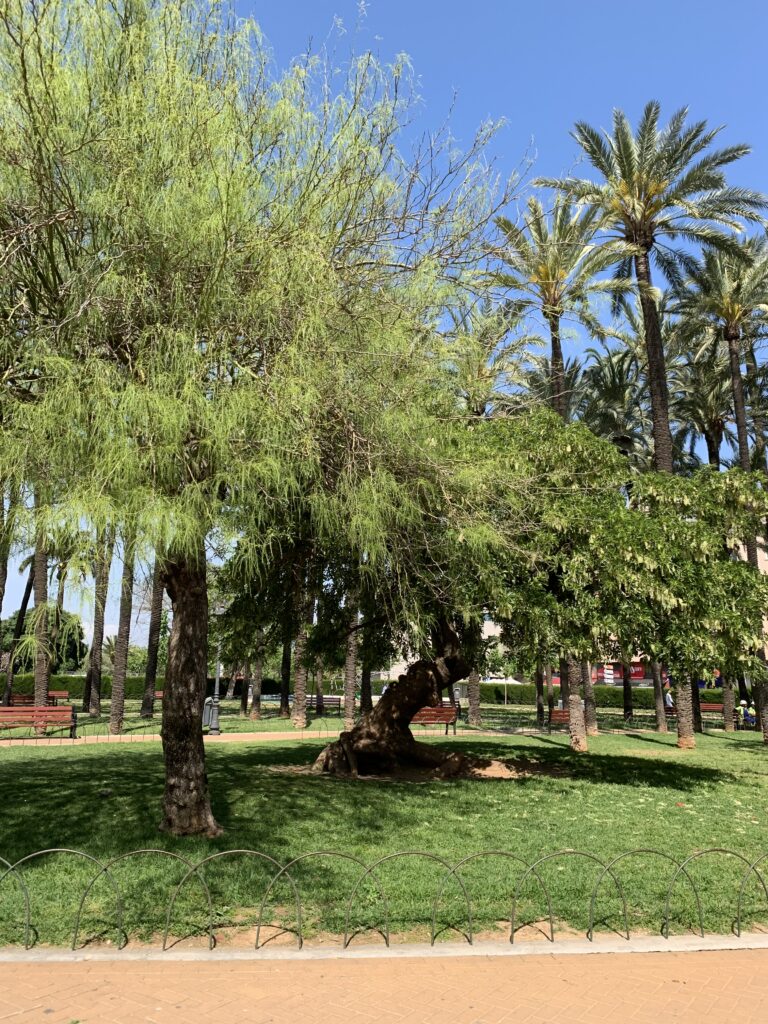 Parc Jaume I