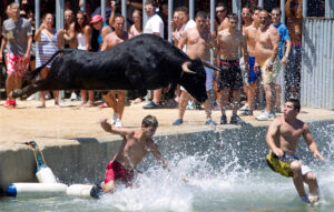 Bous a la mar denia