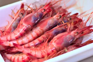 gamba roja de denia