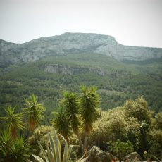 parque natural el montgó denia